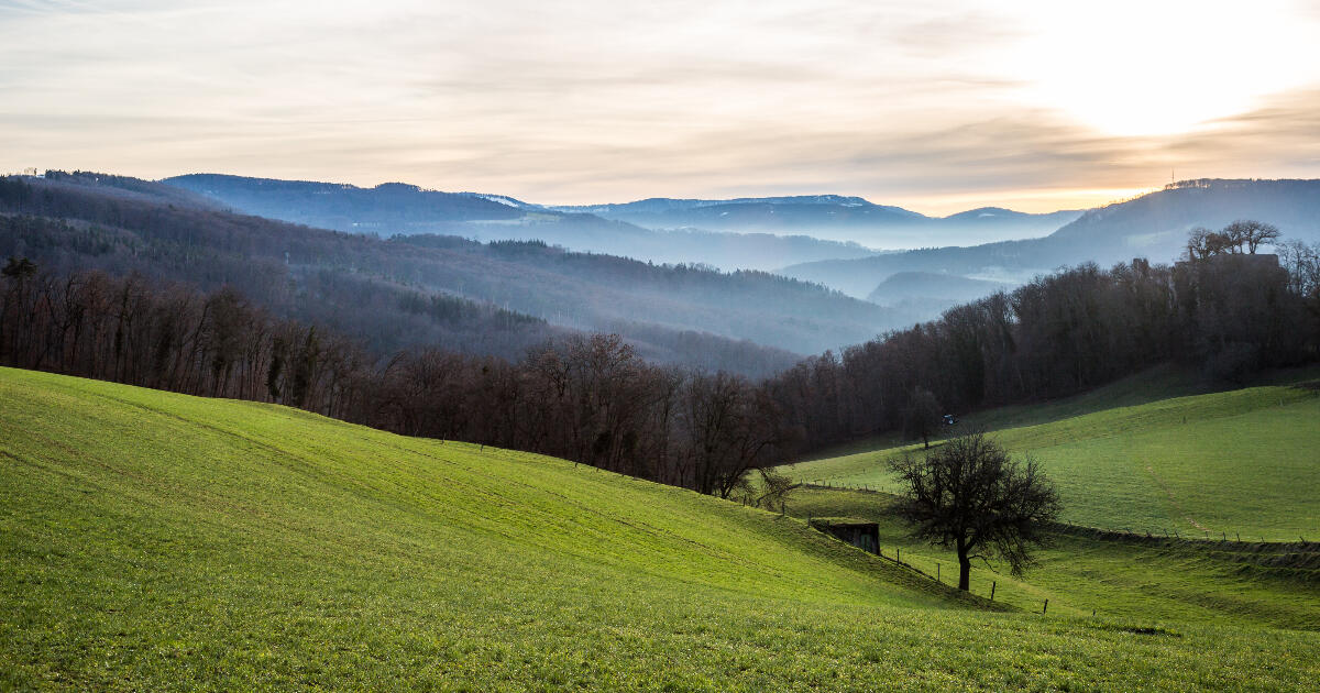 Welche Ver­sicherung zahlt im Todes­fall?