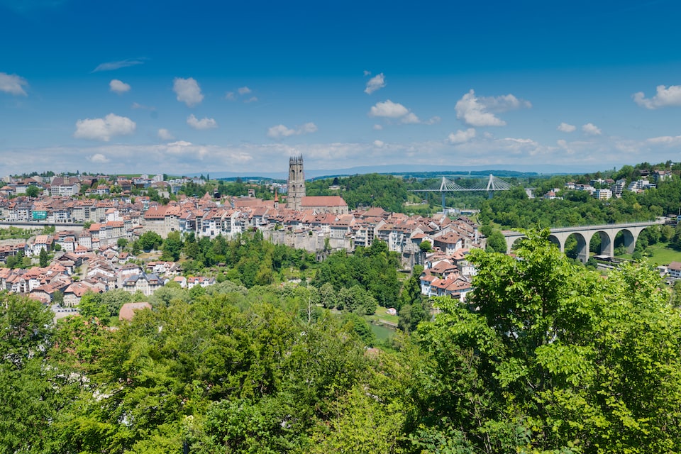 Steuer­erklärung Freiburg
